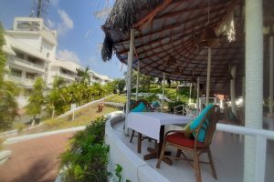 Dining in Nature ..Vegan Souls Dining in Nature ..Vegan Souls